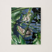Green Tree Frog Puzzle (Vertikal)