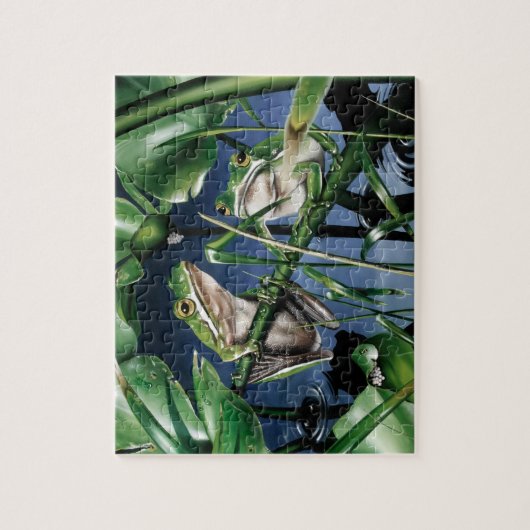 Green Tree Frog Puzzle (Vertikal)