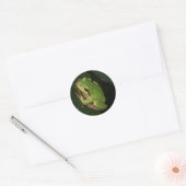 Green Tree Frog Sticker (Umschlag)
