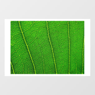 Green Tree Leaf Fensteraufkleber