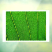 Green Tree Leaf Fensteraufkleber (Blatt 3)