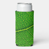 Green Tree Leaf Selters Dosenkühler (Seltzer Vorderseite)