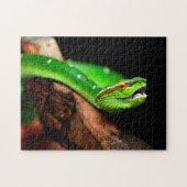 Green Tree Python, Jigsaw Puzzle (Horizontal)