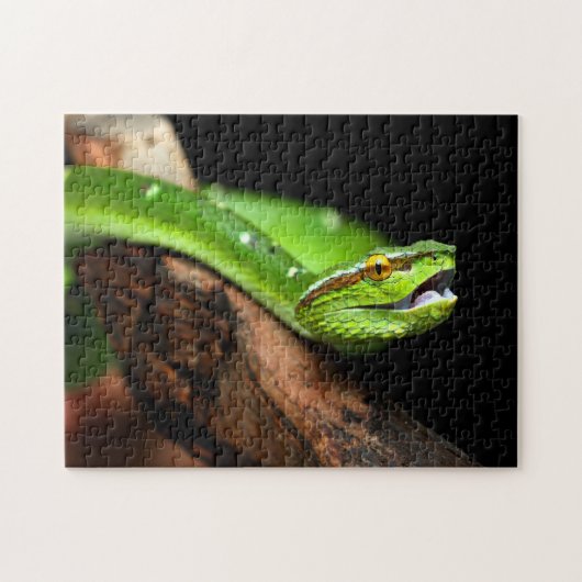 Green Tree Python, Jigsaw Puzzle (Horizontal)