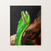 Green Tree Python, Jigsaw Puzzle (Vertikal)
