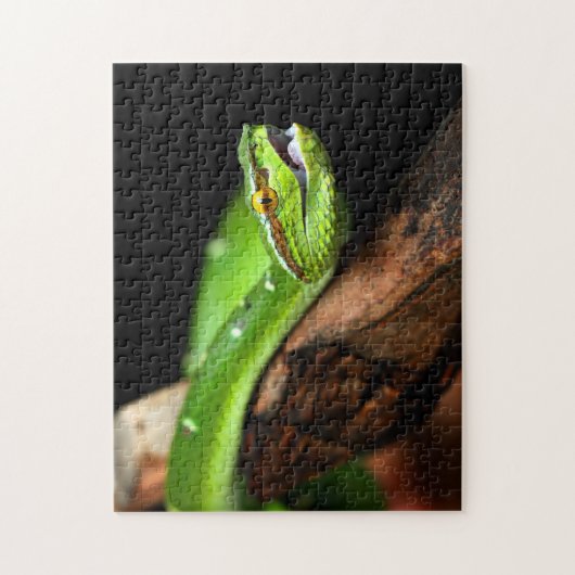 Green Tree Python, Jigsaw Puzzle (Vertikal)