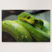 Green Tree Python, Jigsaw Puzzle (Horizontal)