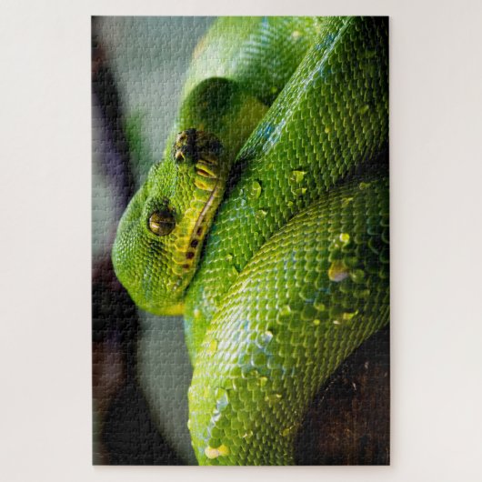 Green Tree Python, Jigsaw Puzzle (Vertikal)