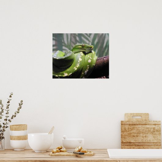 Green Tree Python Poster (Küche)