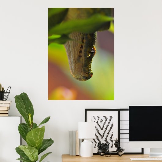 Green Tree Python Poster (Heimbüro)