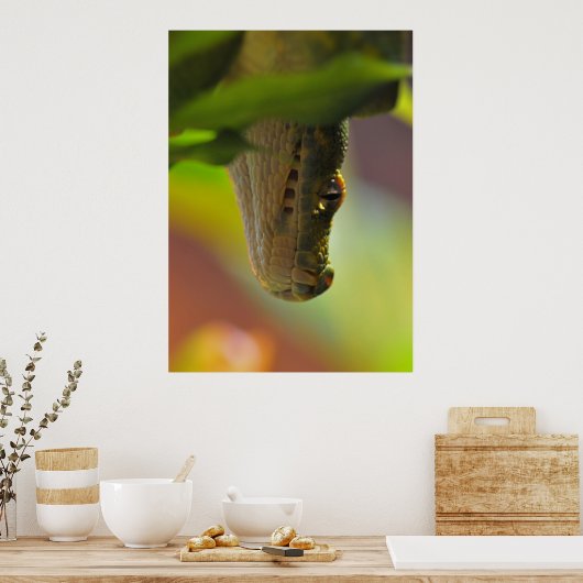 Green Tree Python Poster (Küche)