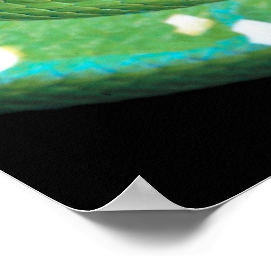 Green Tree Python Poster (Ecke)