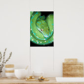 Green Tree Python Poster (Küche)