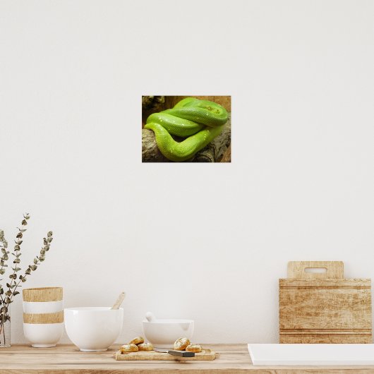 Green Tree Python Poster (Küche)
