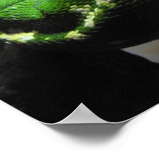 Green Tree Python Poster (Ecke)