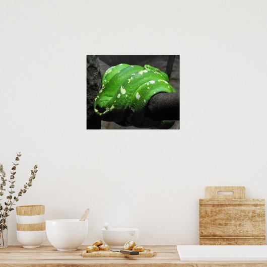 Green Tree Python Poster (Küche)