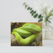 Green Tree Python Postkarte (Stehend Vorderseite)