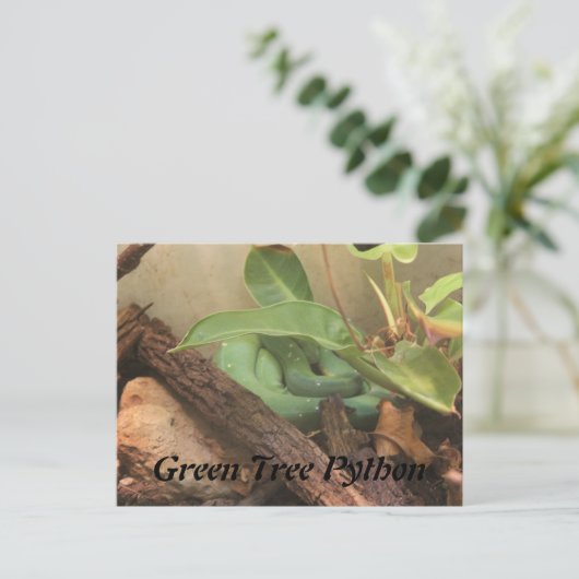 Green Tree Python Postkarte (Stehend Vorderseite)