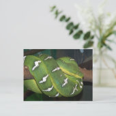 Green Tree Python Postkarte (Stehend Vorderseite)