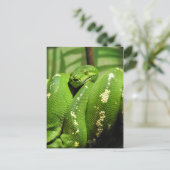 Green Tree Python Postkarte (Stehend Vorderseite)
