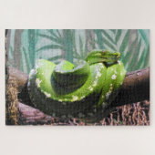 Green Tree Python Puzzle (Horizontal)