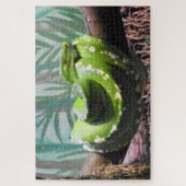 Green Tree Python Puzzle (Vertikal)