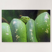 Green Tree Python Puzzle (Horizontal)