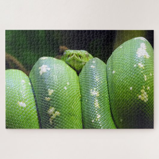 Green Tree Python Puzzle (Horizontal)
