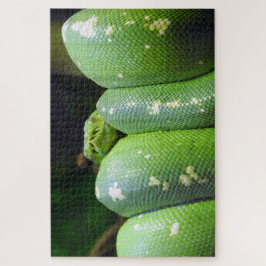 Green Tree Python Puzzle