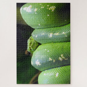 Green Tree Python Puzzle