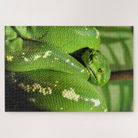 Green Tree Python Puzzle (Horizontal)