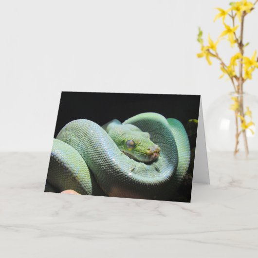Green Tree Python - Schlangengrüßkarte Karte (Gelbe Blume)