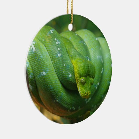 Green Tree Python Snake Keramik Ornament (Rechts)