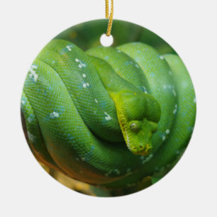 Green Tree Python Snake Keramik Ornament