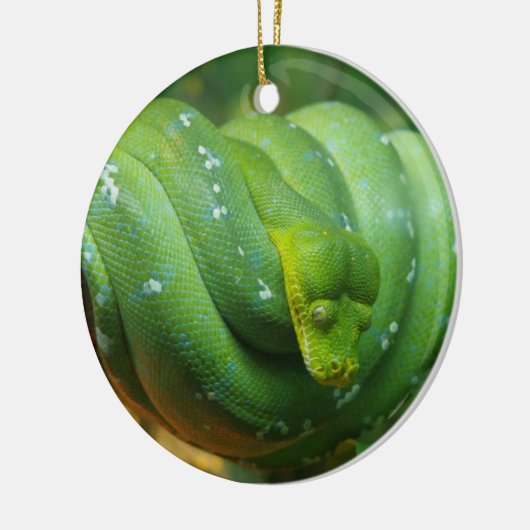 Green Tree Python Snake Keramik Ornament (Links)