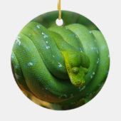 Green Tree Python Snake Keramik Ornament (Hinten)