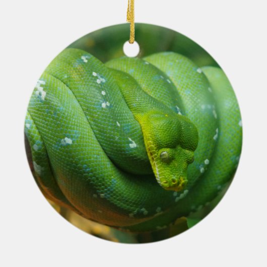Green Tree Python Snake Keramik Ornament (Hinten)