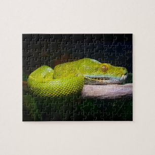 Green Tree Python Snake Owner Puzzle