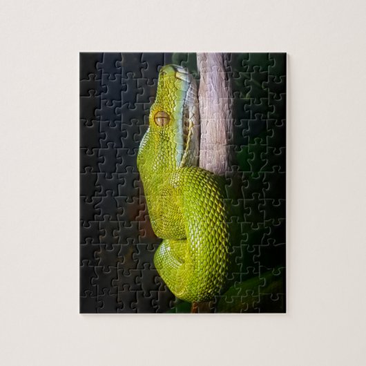 Green Tree Python Snake Owner Puzzle (Vertikal)