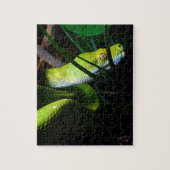 Green Tree Python Snake Owner Puzzle (Vertikal)
