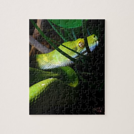 Green Tree Python Snake Owner Puzzle (Vertikal)