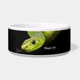 Green Tree Snake Napf