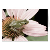 Green Treefrog Card (Vorderseite (Horizontal))
