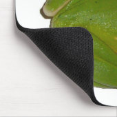 Green Treefrog Mousepad (Ecke)