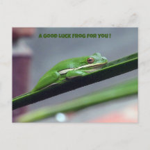 Green Treefrog Viel Glück Postcard