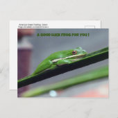 Green Treefrog Viel Glück Postcard Postkarte (Vorne/Hinten)