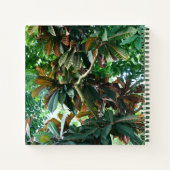 Green Tropical Jungle Notebook Notizblock (Rückseite)