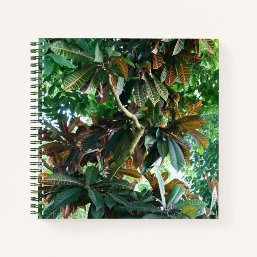 Green Tropical Jungle Notebook Notizblock (Vorderseite)
