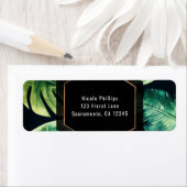 Green Tropical Leaves Black Elegant (Insitu)