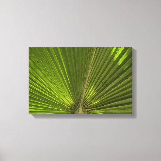 Green Tropical Palm Frond Leinwanddruck (Vorderseite)